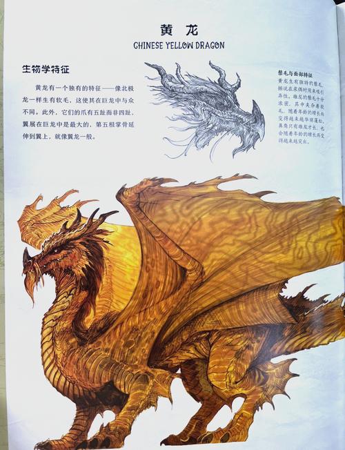 祖龙完美国际，开启奇幻世界的无限探索之旅